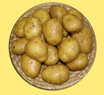 brambor